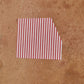 Candy Stripe Poplin