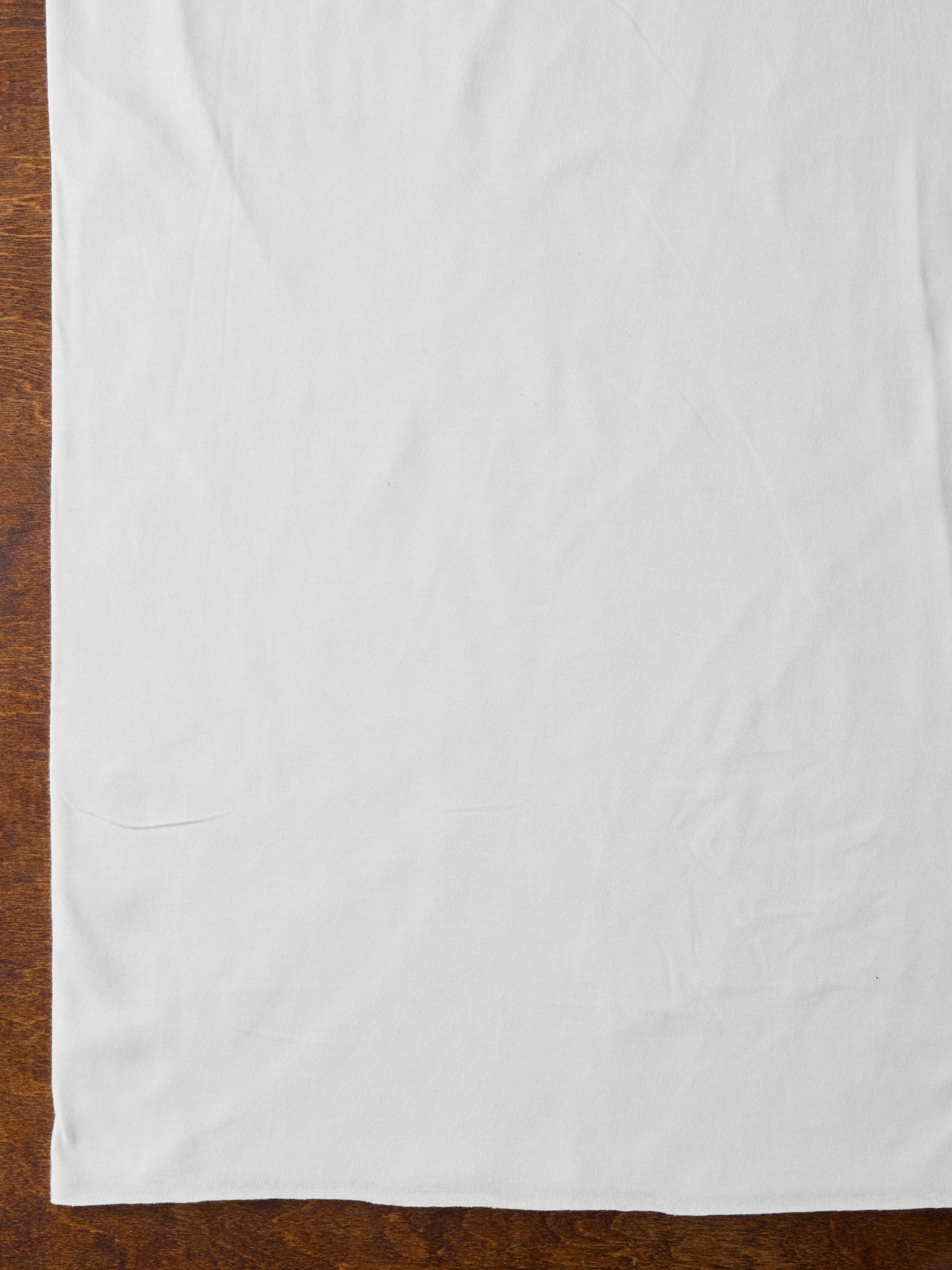 Lightweight Cotton Jersey