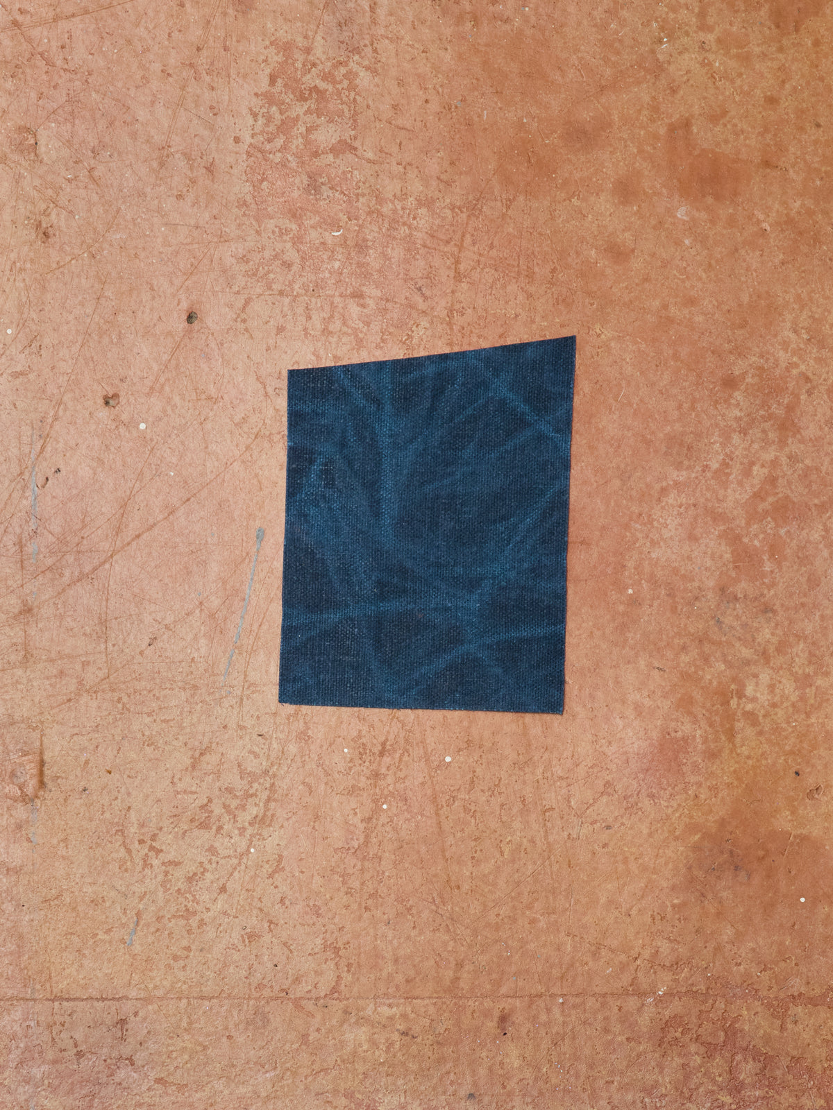 Waxed Cotton Canvas